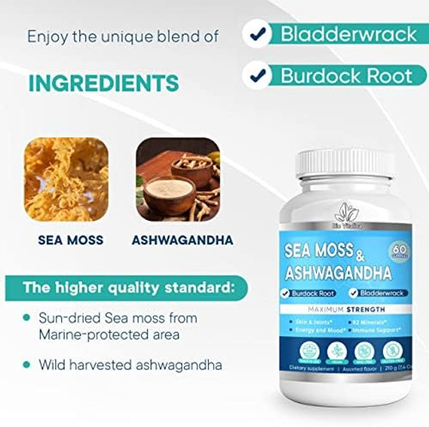 Sea Moss Ashwagandha Gummies - Organic Irish Seamoss & Ashwa Root Powder Supplements For Supporting Energy & Immunity For Men And Women
