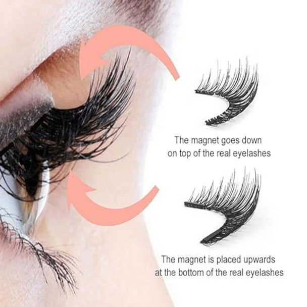 Magnetic Eyelashes, Portable Magnetic Lashes No Glue Or Liner Needed, Reusable Short Magnetic Eyelashes Lashes Natural Eyelash Magnetic Lashes With Clamp（Camellia/1 Sets）