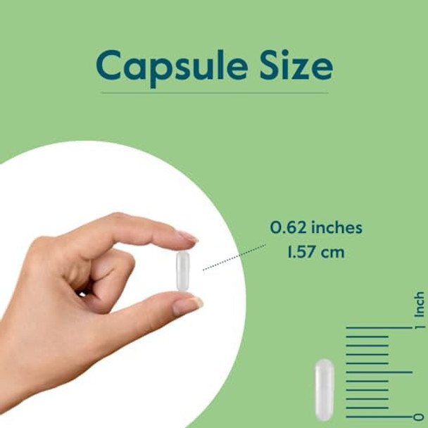 Bestvite Zinc Chelate 50Mg (240 Vegetarian Capsules) - No Stearates - No Dicalcium Phosphate - Vegan - Non Gmo - Gluten Free