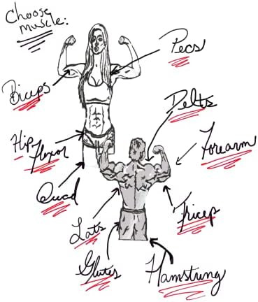 Advanced Series - The Stick Massage Roller Muscle Roller Stick For Muscles - Fitness Answered Training - 16.75" Stainless Steel Core - Large Roller Gap Great For Neck And Back