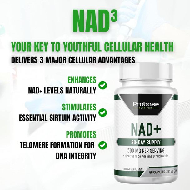 Nad Supplement 500Mg High Potency 30 Day Supply Nad Maximizer Similar To Nicotinamide Riboside Vegan Non Gmo Third Party Tested