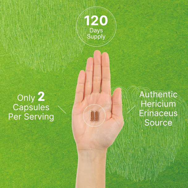 Lions Mane Mushroom Supplement, 7,500Mg Per Serving, 240 Capsules – Active Fruiting Body & Mycelium 10:1 Extract – Natural Brain Nootropic & Immune System Booster – Non-Gmo