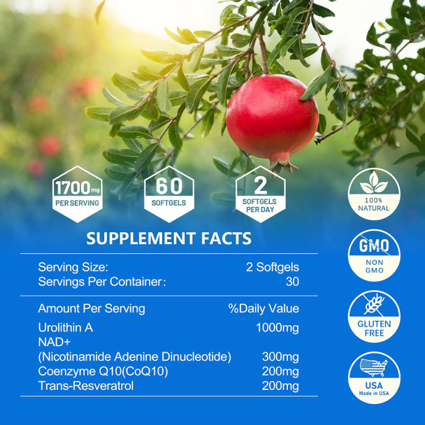 Liposomal Urolithin A Supplement - 1700Mg Per Serving (60 Softgels, 30 Day Supply) For Healthy Aging And Muscle Health - Energy Supplements With Nad, Coq10, Trans-Resveratrol