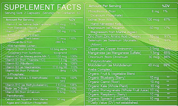 Natural Multivitamins & Minerals, Whole Food Supplement - Vegan + B-Complex + Calcium + Magnesium + Zinc, For Men & Women, Complete Nutritional Support- 120 Capsules, 60 Day Supply