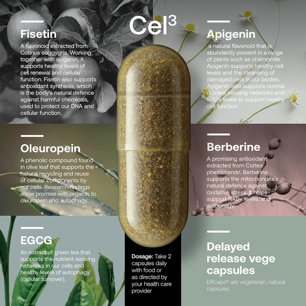 Srw Cel³ Renewal 60 Capsules  Stem Cell Supplement With Fisetin, Apigenin & Oleuropein  For Youthful Cell Function & Renewal, Healthy Aging