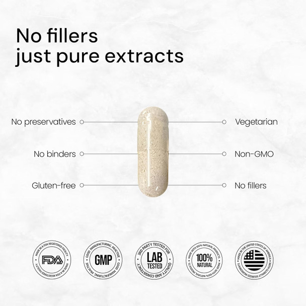 Aceworkz Elite Brain - Nootropic Brain Supplement For Focus, Memory, & Mental Clarity - Alcar, Lions Mane, Ala, L-Theanine, Vitamin B Complex - Natural Energy, Caffeine-(60 Capsules) Aceworkz Elite Brain - Nootropic Brain Supplement For Focus, Memory, & Mental Clarity - Alcar, Lions Mane, Ala, L-Theanine, Vitamin B Complex - Natural Energy, Caffeine-(60 Capsules)