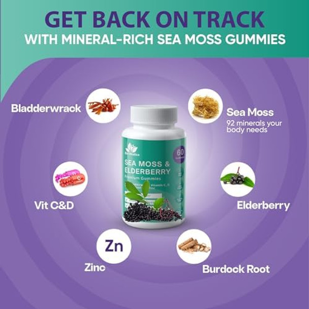 Bio Vitalica Sea Moss Gummies Elderberry Biovitalica - Vitamin C D + Zinc - Irish Seamoss Vegan Gummy With Sea Moss Gel & Powder For Immunity, Detox - For Adults And Kids