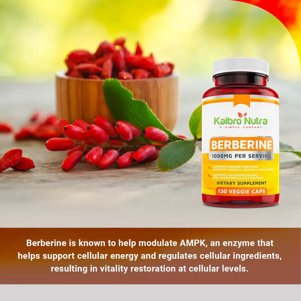 Berberine 500mg (1000mg Per Serving) for Supports Healthy Immune Function, Anti-oxidant,Gastrointestinal & Overall Wellness - 120 Capsules