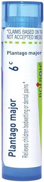 Boiron Plantago Major 6C For Children Bedwetting Or Dental Pains 80 Pellets