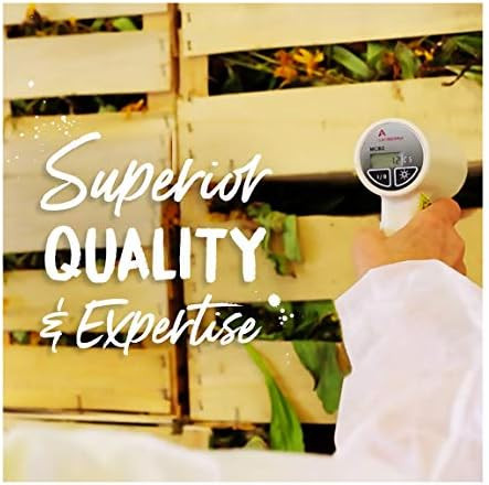 Boiron Bryonia Alba 200Ck Homeopathic Medicine For Muscle And Joint Pain Improved By Rest Pack Of 3 (240 Pellets)