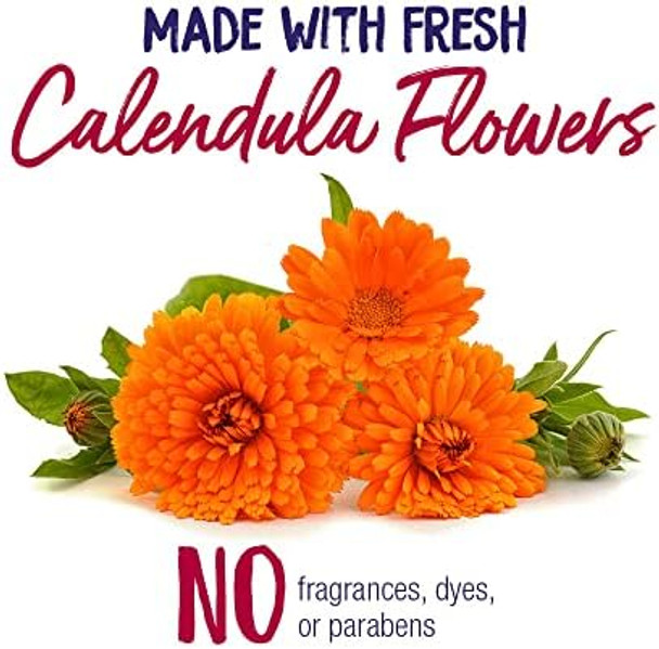 Boiron Calendula Ointment For Relief From Minor Burns Cuts Scrapes And Insect Bites 1 Oz