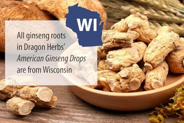 Dragon Herbs American Ginseng Drops 2 Fl Ounces 60 Ml