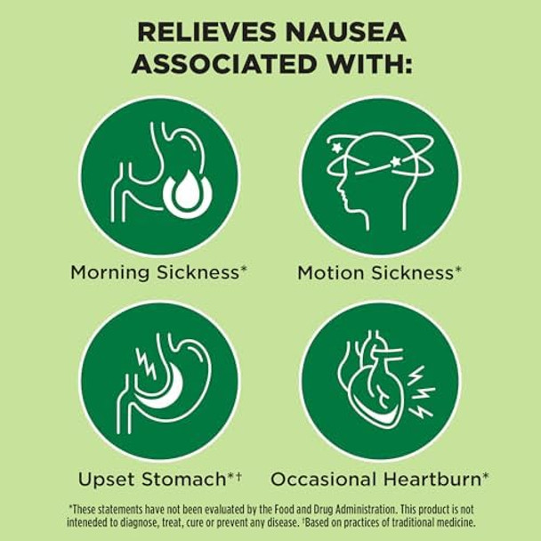 Dramamine Nausea Relief Ginger Chews 20 Count And Preggie Pop Drops Plus21 Dropsvitamin B6 For Morning Sickness & Nausea Relief