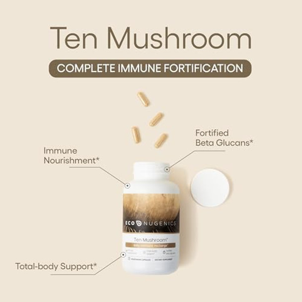 Econugenics Ten Mushroom Supplement: Daily Immune Support 120 Capsules Lion’S Mane Reishi Cordyceps Turkey Tail Maitake Shiitake Energy Gut Health Liver Kidney & Nootropic Brain Support