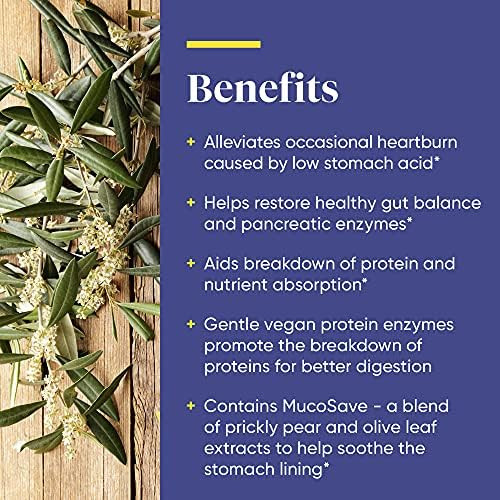 Enzymedica Betaine Hcl Occasional Heartburn And Indigestion Support 120 Capsules