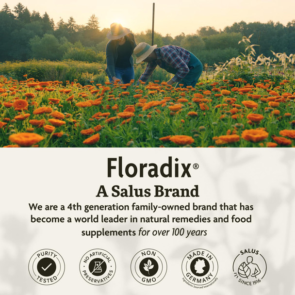 Floradix Salus Calcium Magnesium 500 Ml