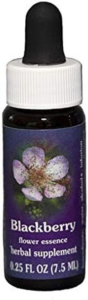 Flower Essence Services Blackberry Dropper 0.25 Ounce