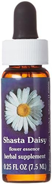 Flower Essence Services Fes Quintessentials Dropper Shasta Daisy Supplement 0.25 Ounce