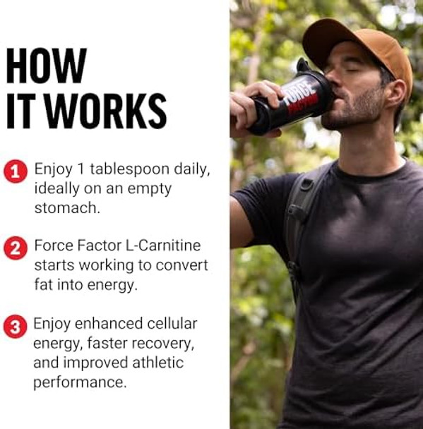 Force Factor L Carnitine Supplement Liquid Lcarnitine 3000 Mg To Help Turn Fat Into Energy Support Muscle Recovery And Boost Cellular Energy Maximum Strength Nongmo Berry Flavor 16 Oz.