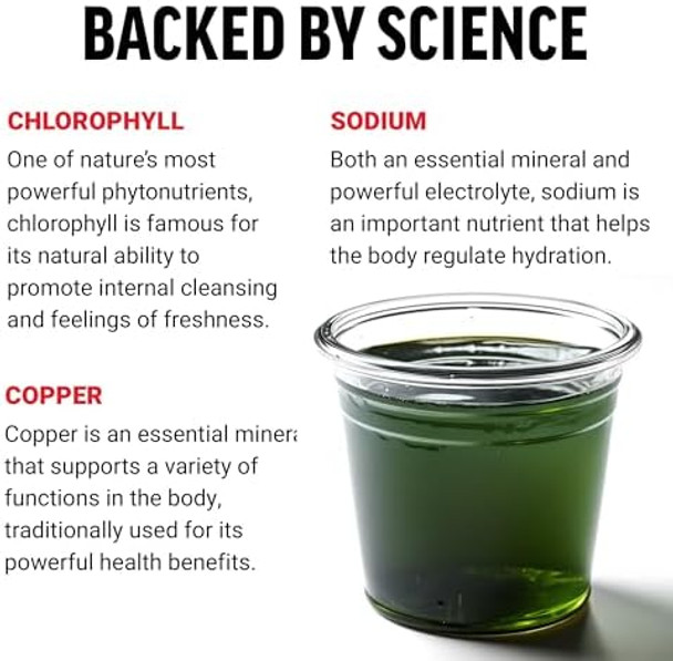 Force Factor Chlorophyll Liquid Body Deodorizing Supplement Freshens Breath And Body Naturally Made With No Artificial Sweeteners Or Colors Nongmo Natural Mint Flavor 16 Oz.
