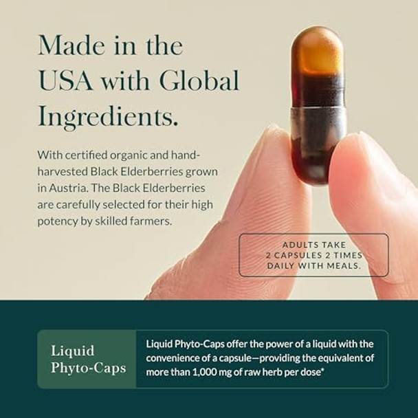 Gaia Herbs Gaiakids Black Elderberry Syrup Delicious Immune Support Supplement For Kids With Organic Black Elderberries And Honey Usda 3 Fl Oz