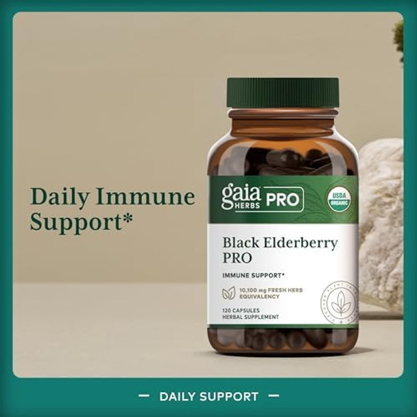 Gaia Pro Black Elderberry Pro