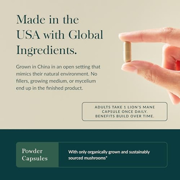 Gaia Herbs Lion’S Mane Mushroom Brain & Nerve Health Support 40 Vegan Capsules