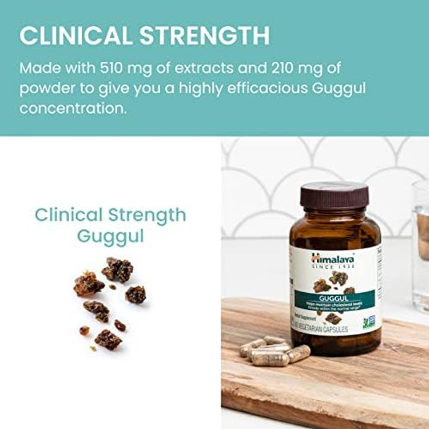 Himalaya Guggul Herbal Supplement Hdl & Ldl Support Liver Health Liver Cleansing Triglyceride Support Bile Production 720 Mg Nongmo Vegetarian 60 Capsules 1 Pack Himalaya Guggul Herbal Supplement Hdl & Ldl Support Liver Health Liver Cleansing Triglyceride Support Bile Production 720 Mg Nongmo Vegetarian 60 Capsules 1 Pack