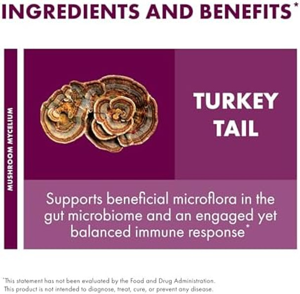 Host Defense Turkey Tail Capsules Digestive Health & Immune Response Support Supplement Mushroom Supplement For Gastrointestinal & Gut Microbiome Support 120 Capsules (60 Servings)