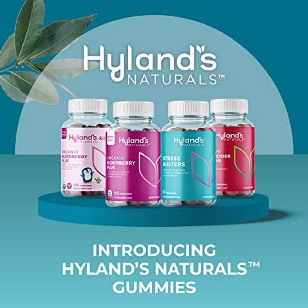 Hyland'S Naturals Kids Organic Elderberry Plus Gummies Organic Black Elderberry With Zinc And Vitamin C Immune Support For Children 48 Vegan Gummies (2 Pack)