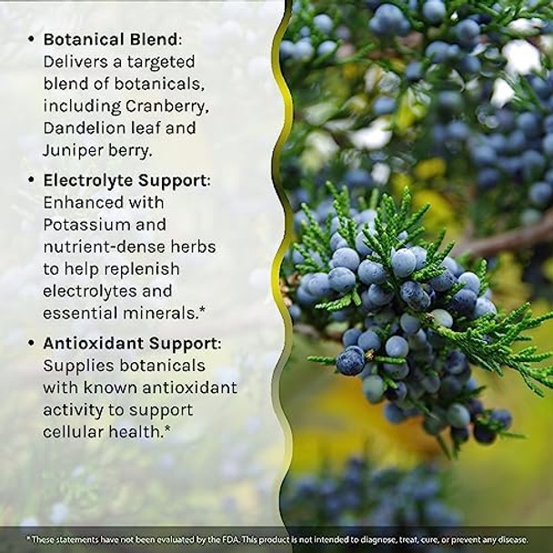 Irwin Naturals Bloataway 60 Liquid Softgels Pack Of 2 Water Balance Support Replenish Electrolytes & Essential Minerals 40 Total Servings