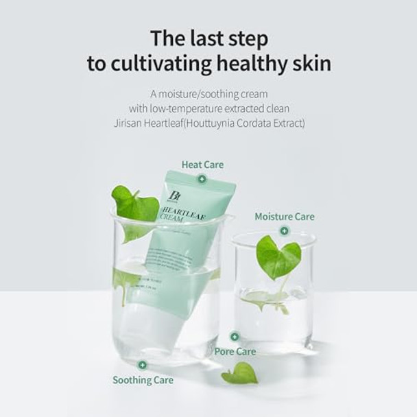 Benton Heartleaf Cream With Ceramide Hyaluronic Acid Moisturizer Soothing And Pore Care Effect For All Skin Types Ph 5.5 Nonirritating (1.76 Oz)