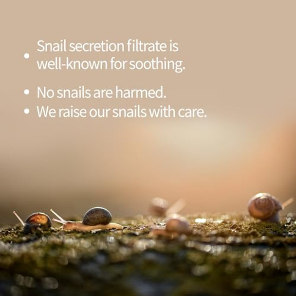 Benton Snail Bee High Content Mask Pack (20G / 10 Sheets) Snail Mucin Face Mask With Bee Venom Korean Skin Care Face Mask Sheets For Moisturizing Soothing And Nourishing