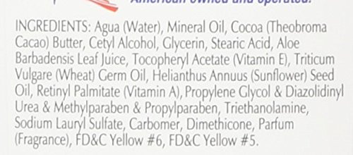 Fruit Of The Earth Smooth Hydrating Cocoa Butter With Aloe & Vitamin E Skin Care Lotion 16 Oz