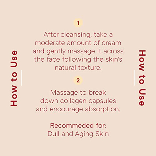 Missha Atelo Collagen 500 Power Plumping Cream Korean Collagen Cream For Face With 4 Kinds Of Collagen Day & Night Moisturizer