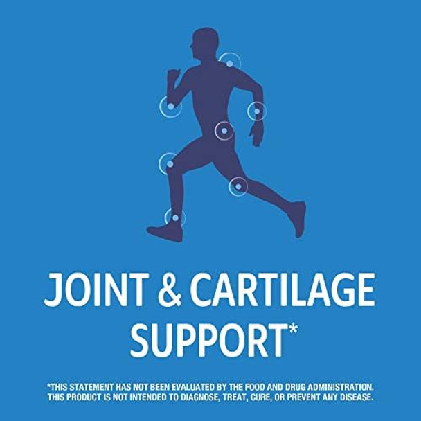 21St Century Arthriflex Advantage Plus Vitamin D3 Joint Support Supplement (120 Tablets) Glucosamine Chondroitin Msm & Hyaluronic Acid Nongmo Gluten No Added Yeast Or Artificial Flavors