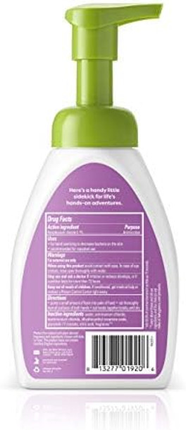 Babyganics Foaming Pump Hand Sanitizer Alcohol Berry Berry Kills 99.9% Of Common Bacteria Moisturizing 8.45 Fl Oz (Pack Of 3)
