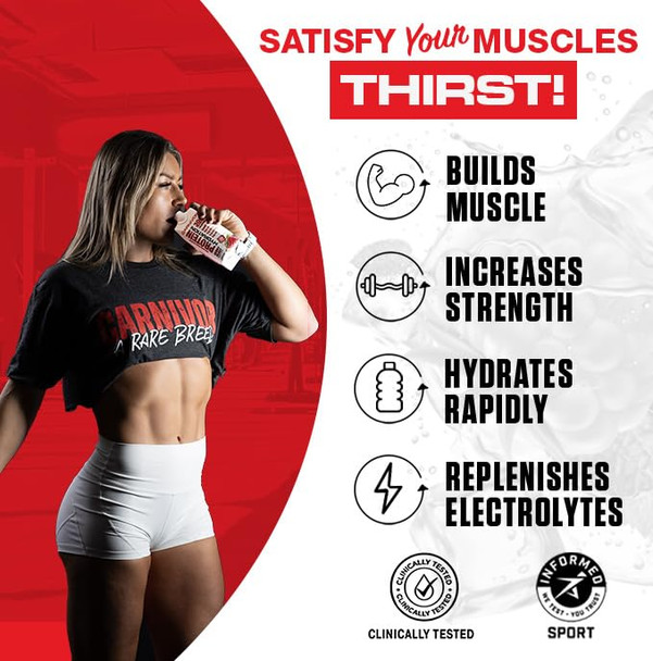 Musclemeds Carnivor Protein Hydration Rtd Refreshing Ready To Drink 30 G Isolate Protein Lactose Sugar Berry Blast16.9 Fl Oz Liquid (Pack Of 2)