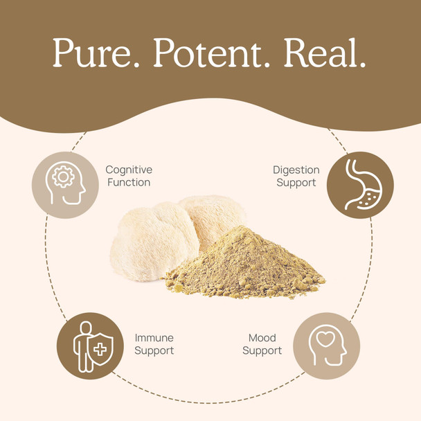 Real Mushrooms Lions Mane Supplement Capsules - Mushroom Supplement for Overall Wellness with Verified Beta Glucans – Non-GMO, Vegan Mushroom Supplements in 120 Capsules