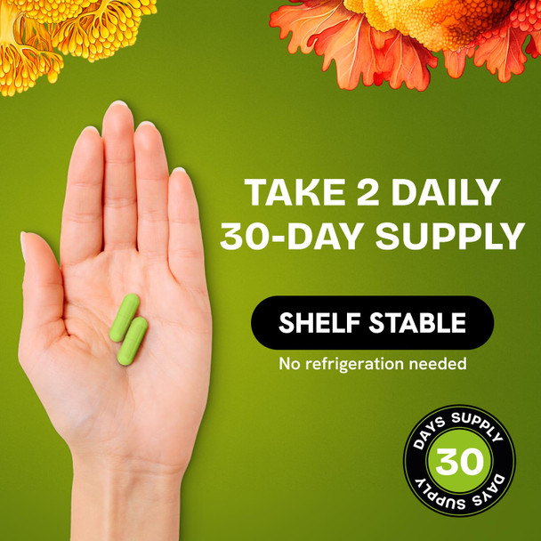 Resurrected Health Liposomal NMNH Supplement Dihydronicotinamide Mononucleotide High Purity NAD for Anti Aging  Energy  Focus  Pure NMNH Organic 60 Capsules  300mg