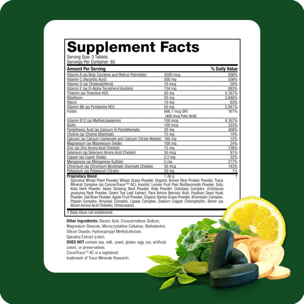 Life's Fortune Multivitamin & Mineral 60 Tablets All Natural Energy Source Supplying Whole Food Concentrates Antioxidants Amino Acids Enzymes Trace Minerals & More