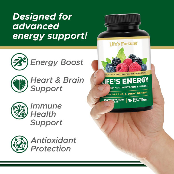 Life's Fortune Life's Energy Advanced Multi-Vitamin and Mineral for Men & Women Non-GMO - Super Greens - ORAC Berries - AntiOxidants - Enzymes - Iron Free - GMP Tested 120 Veggie Tablets
