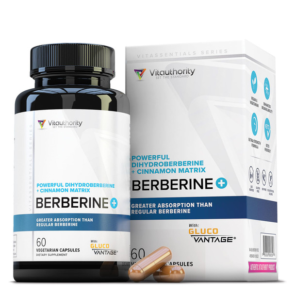 Vitauthority Berberine with Ceylon Cinnamon Supplements  High Absorption Dihydroberberine for Balance and Support  Vegan Powerful AMPk Activator and Antioxidant  30 Servings