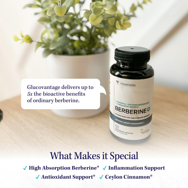 Vitauthority Berberine with Ceylon Cinnamon Supplements  High Absorption Dihydroberberine for Balance and Support  Vegan Powerful AMPk Activator and Antioxidant  30 Servings