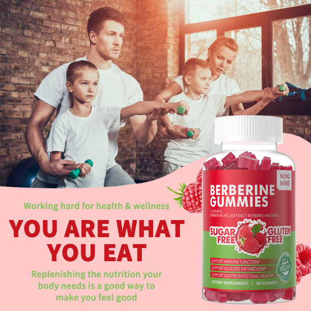 Novomins Berberine Gummies with Ceylon Cinnamon 1500mg High Potency Berberine HCL Supplement for Immune and Metabolism Support Sugar Free Organic Berberine Gummies Raspberry Flavor.