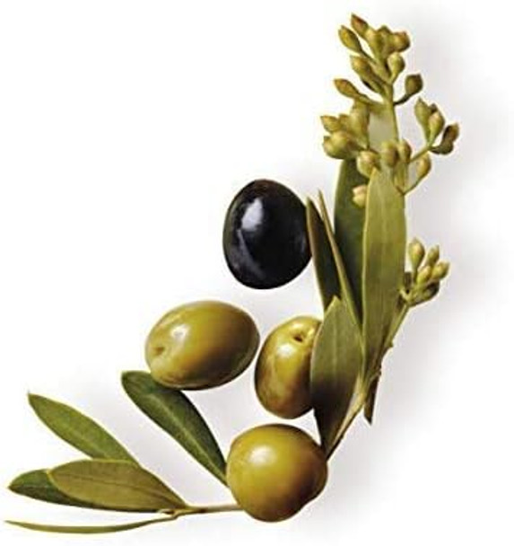 Garnier Original Remedies Extreme Nutrition Mythical Olive Shampoo for Dry and Sensitized Hair – 300 ml