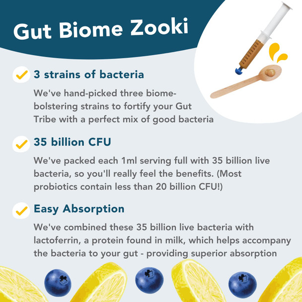 Zooki® Gut Biome | Advanced Multi Strain Probiotics | Gut Health Digestive System - (Blueberry Lemon Flavour 30 Servings Pack of 1)