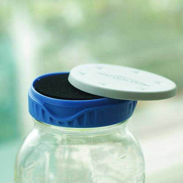 Dr. Mercola Fermenting Jar Lids