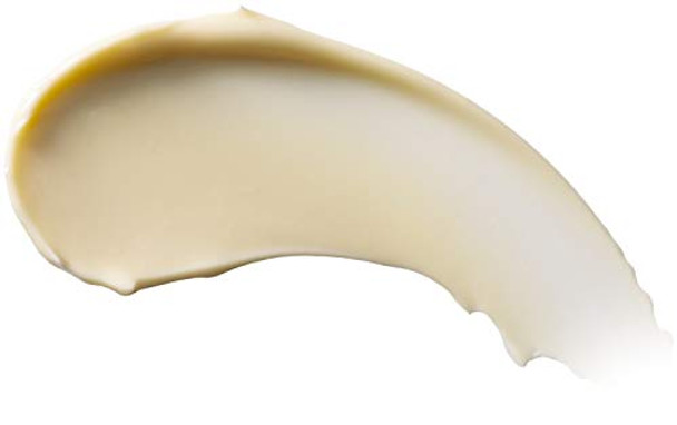 Burts Bees Body Lotion For Normal To Dry Skin With Milk & Honey 12 Oz (Package May Vary)