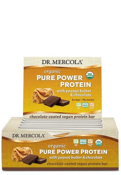 Dr. Mercola Pure Power Peanut Butter Pro Bar